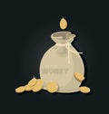 Money bag. Gold coins. Cash Bag. Sack of currency.